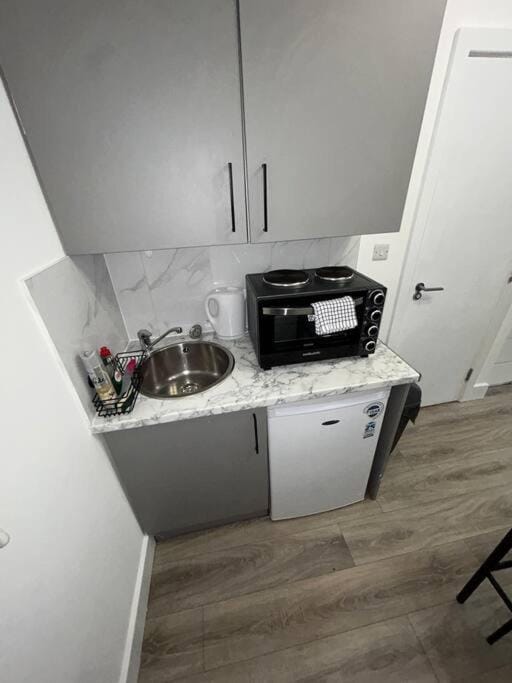Large studio flat with garden Apartment in Twickenham