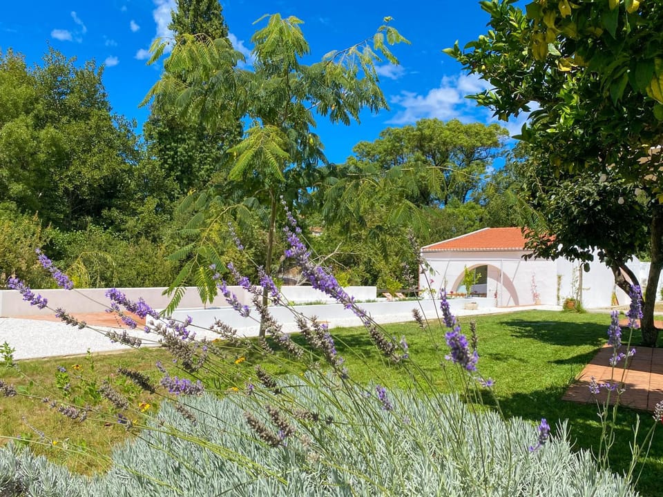 Natural landscape, Garden, Garden view