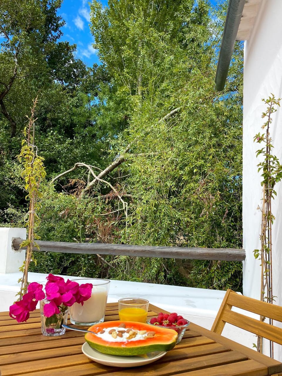 Garden, Balcony/Terrace, Dining area, Food