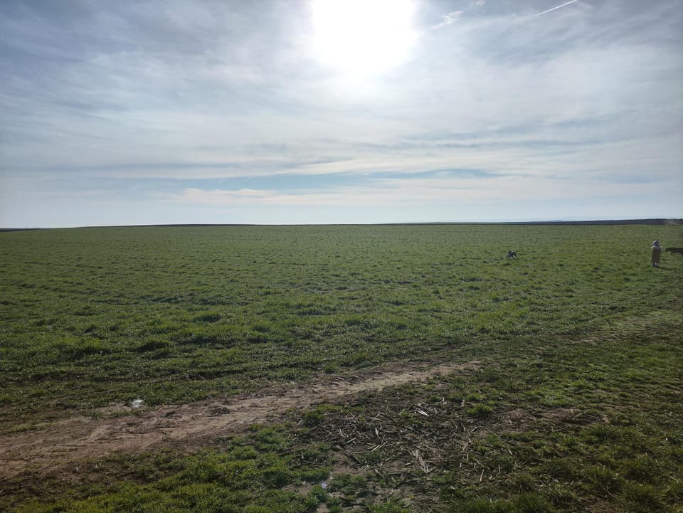 Vikendica Tisa Dukatar House in Vojvodina