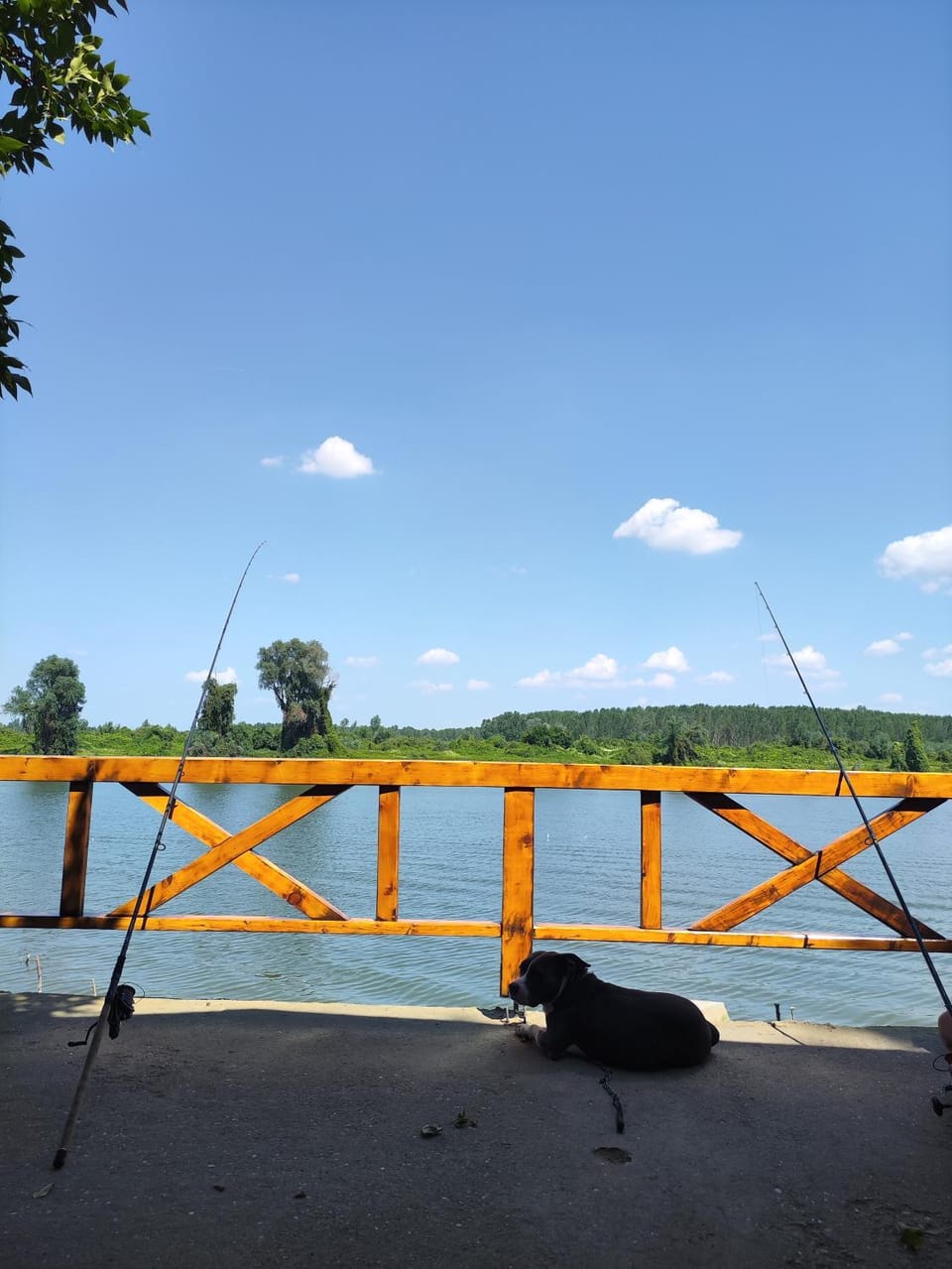 Vikendica Tisa Dukatar House in Vojvodina