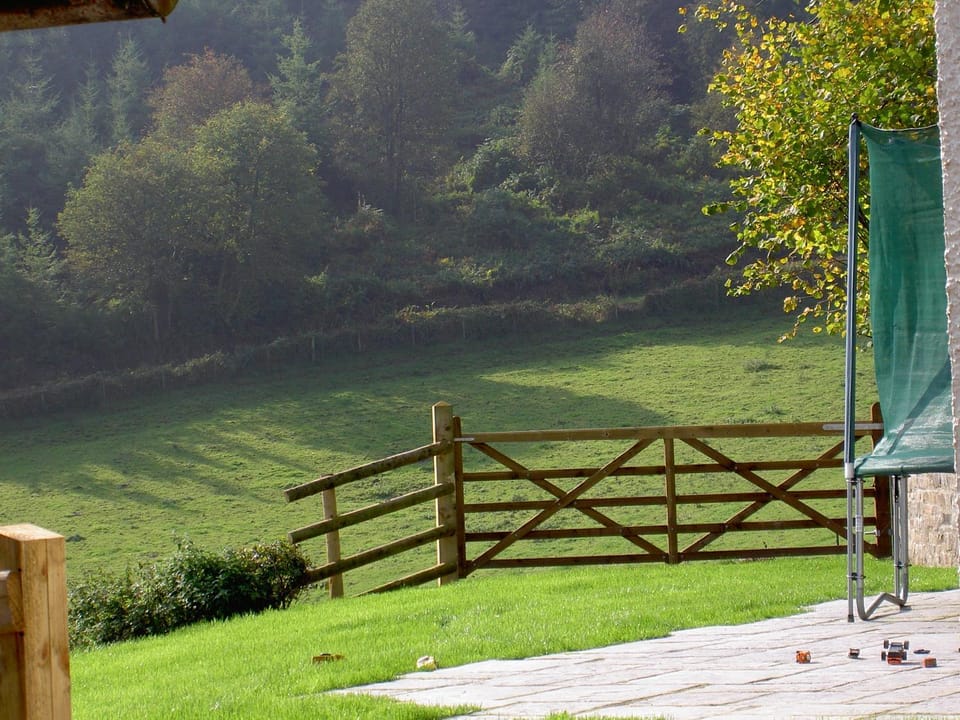 Natural landscape, Garden, View (from property/room), Garden view