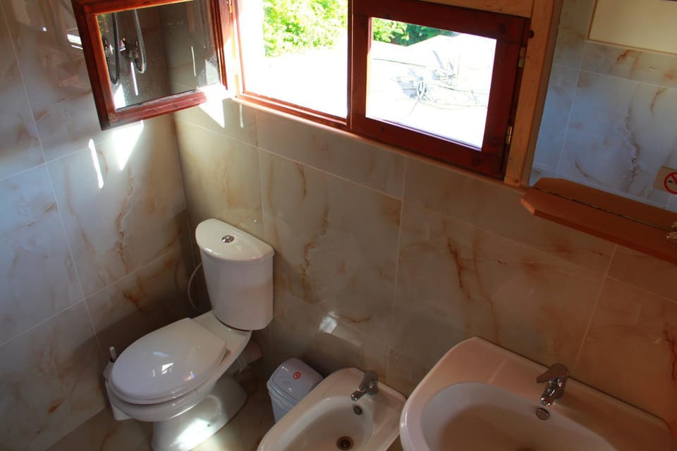 Shower, Toilet, Bathroom, bidet
