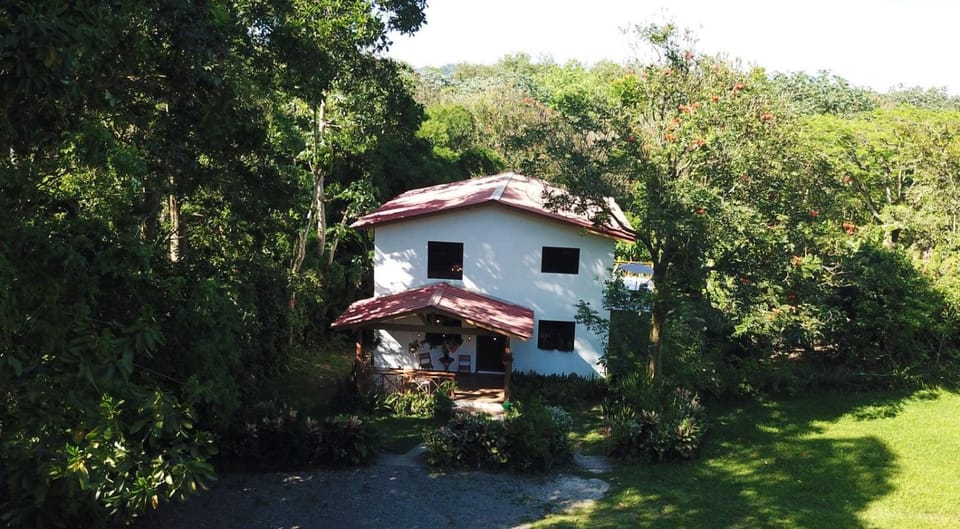 Property building, Day, Garden