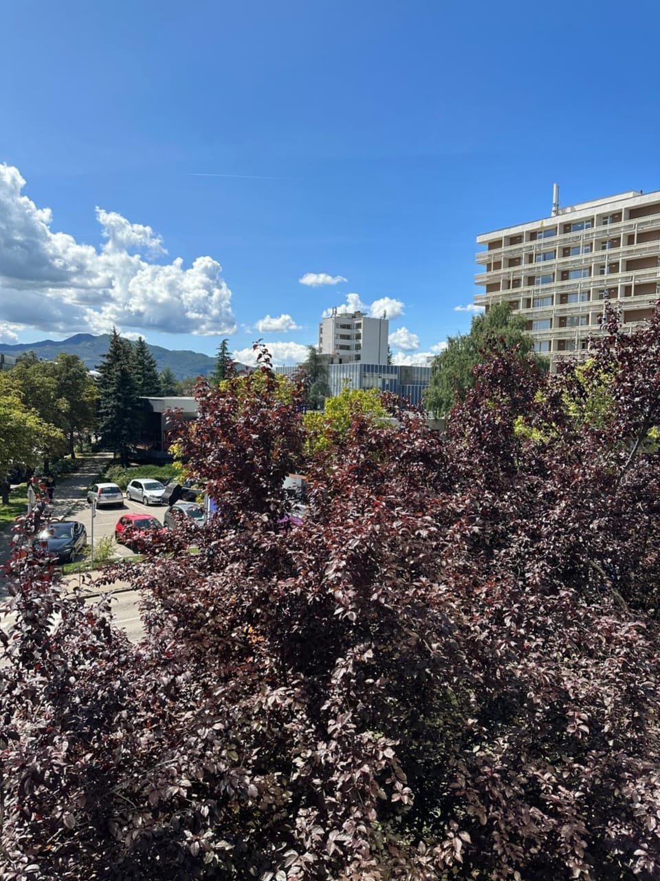 City view
