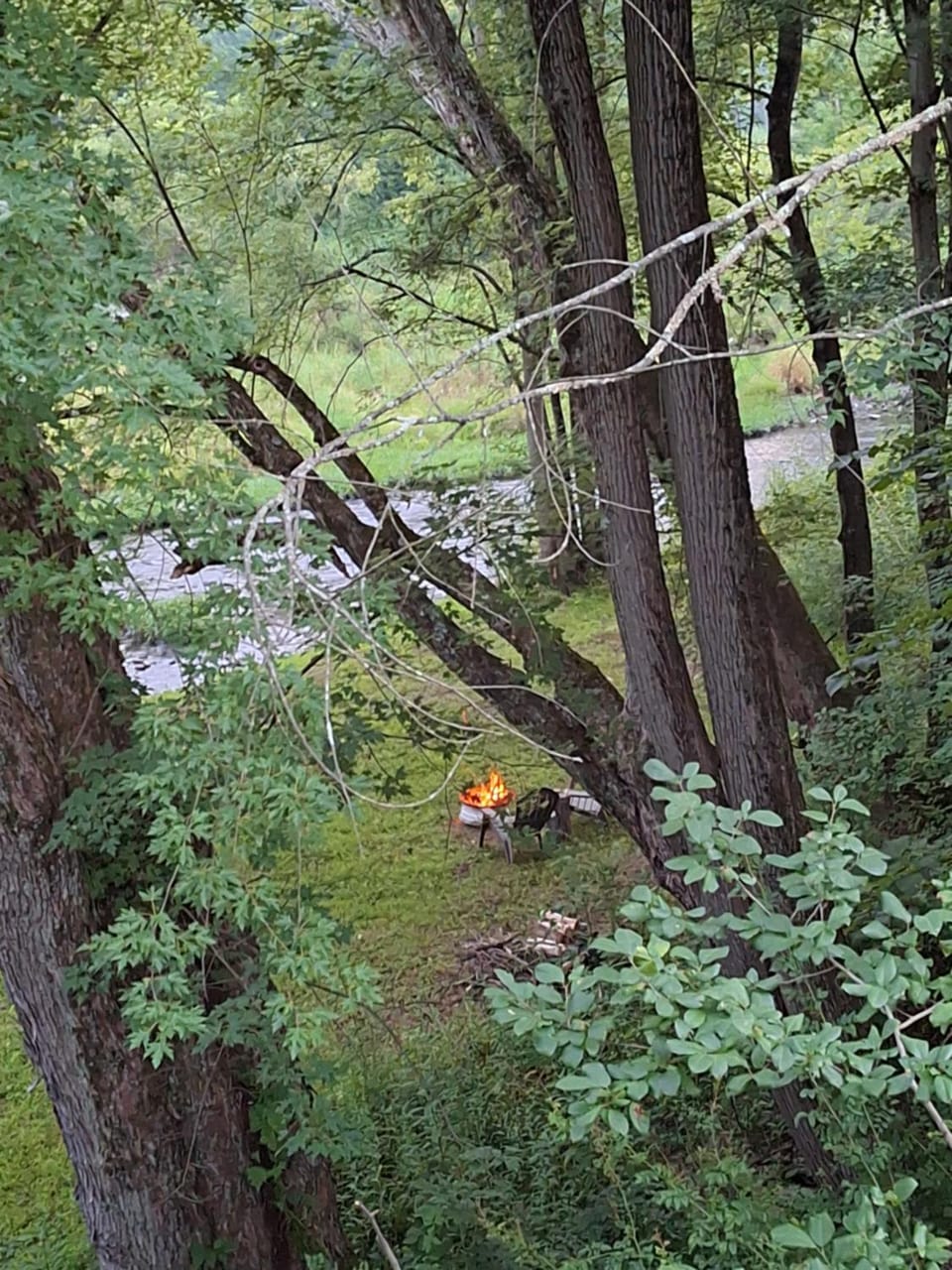 Natural landscape, River view