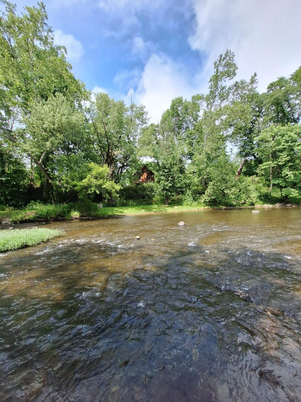 Natural landscape, River view
