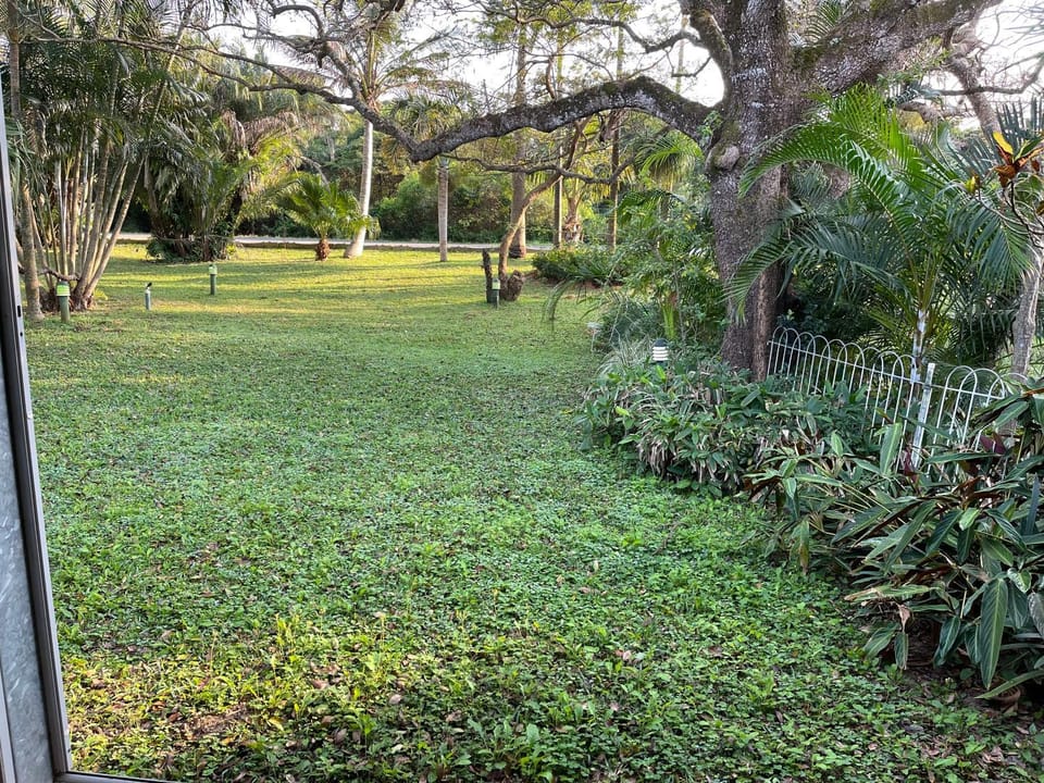 Natural landscape, Garden view