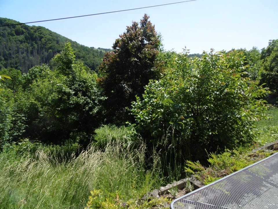 Neighbourhood, Natural landscape, Mountain view