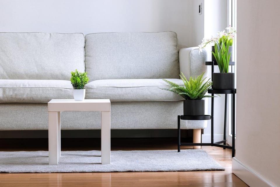 Bed, Living room, Photo of the whole room, Seating area, Bedroom