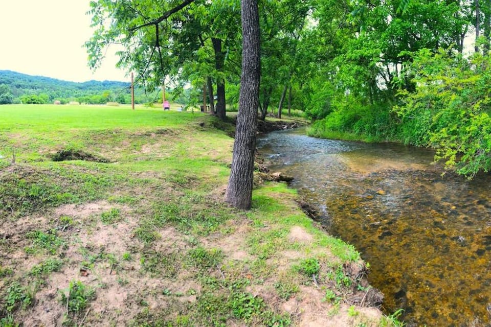 Lil Yellowstone House in Union County