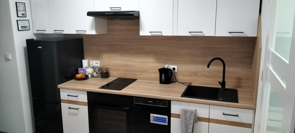 Kitchen or kitchenette, dishwasher