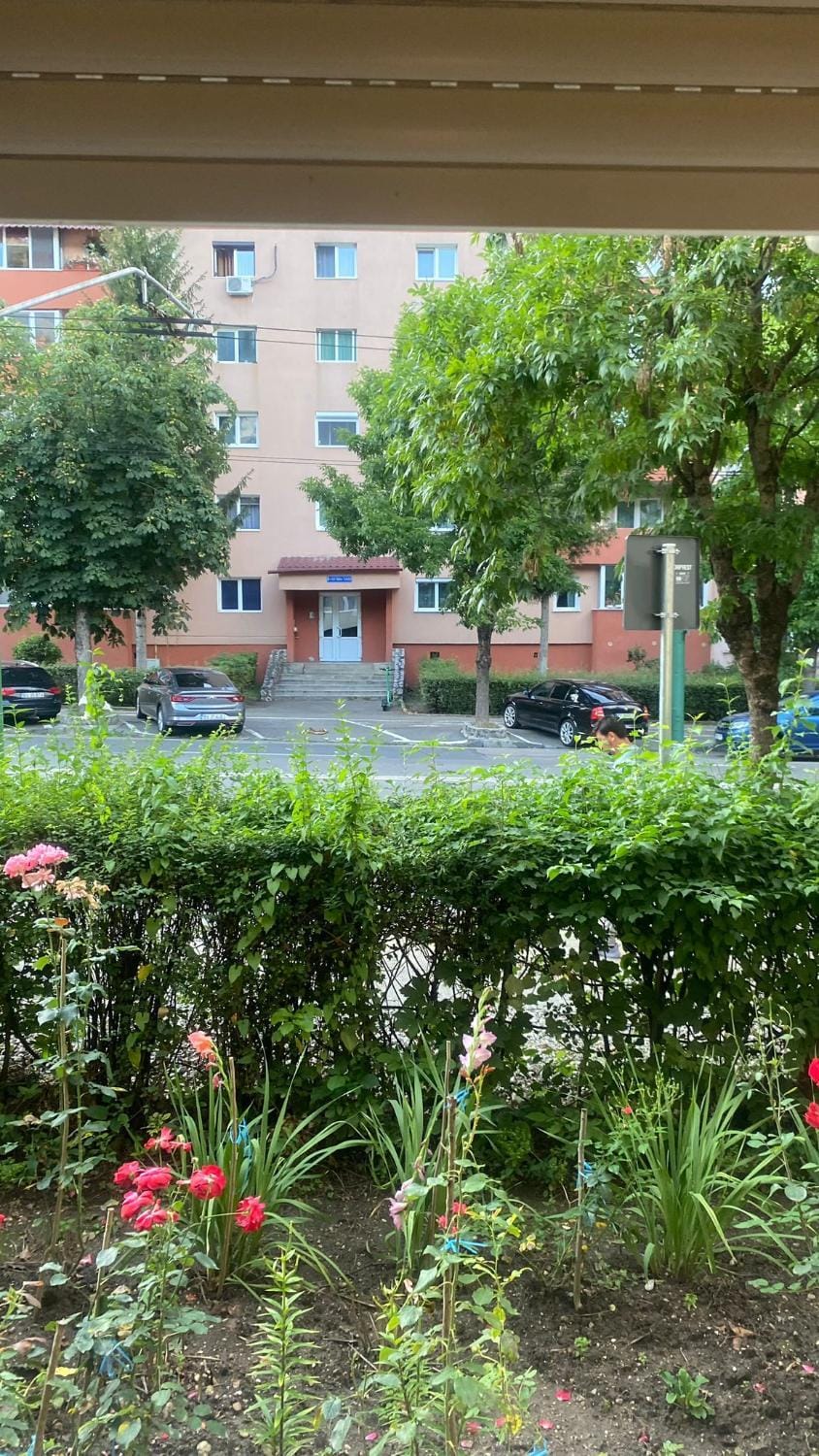 Casy&Angy Apartment in Brasov