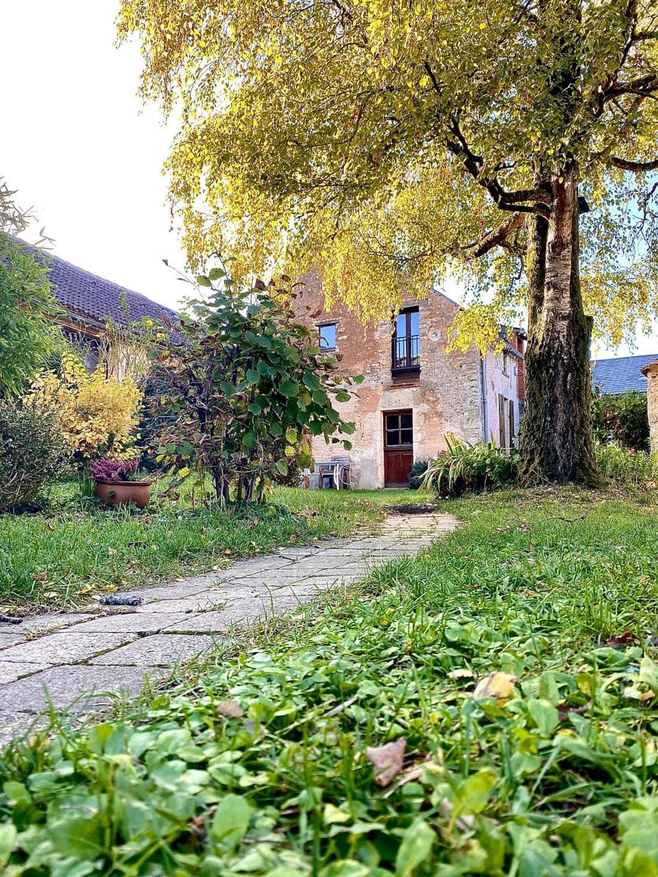 Garden view
