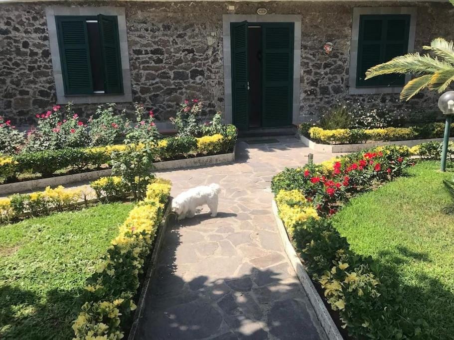 Property building, Garden