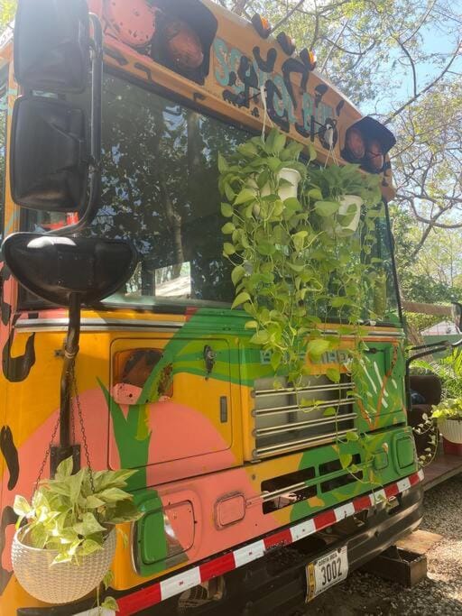 CasaBus beautiful bus dept. 50m from beach Apartment in Tamarindo