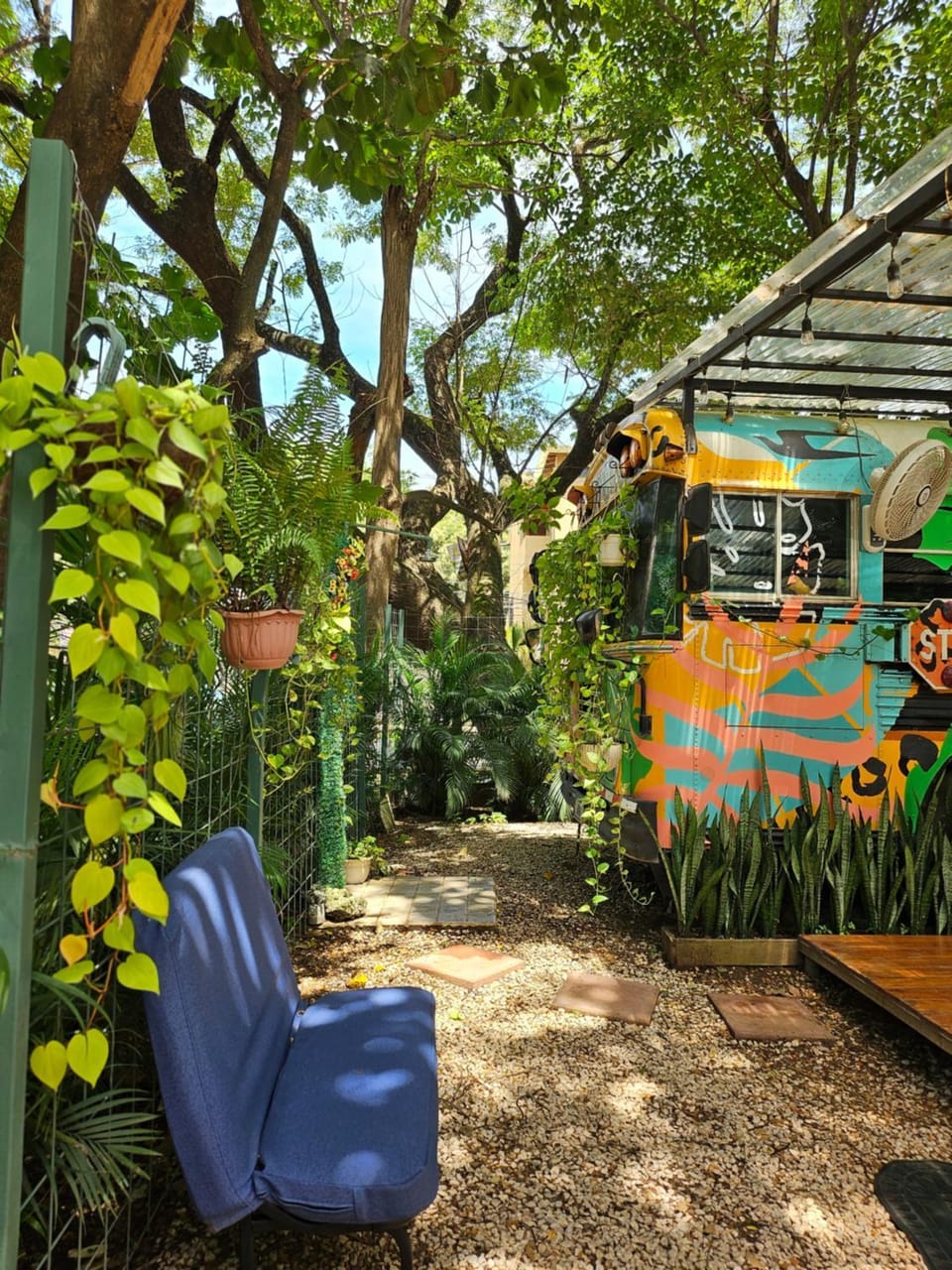 Garden view