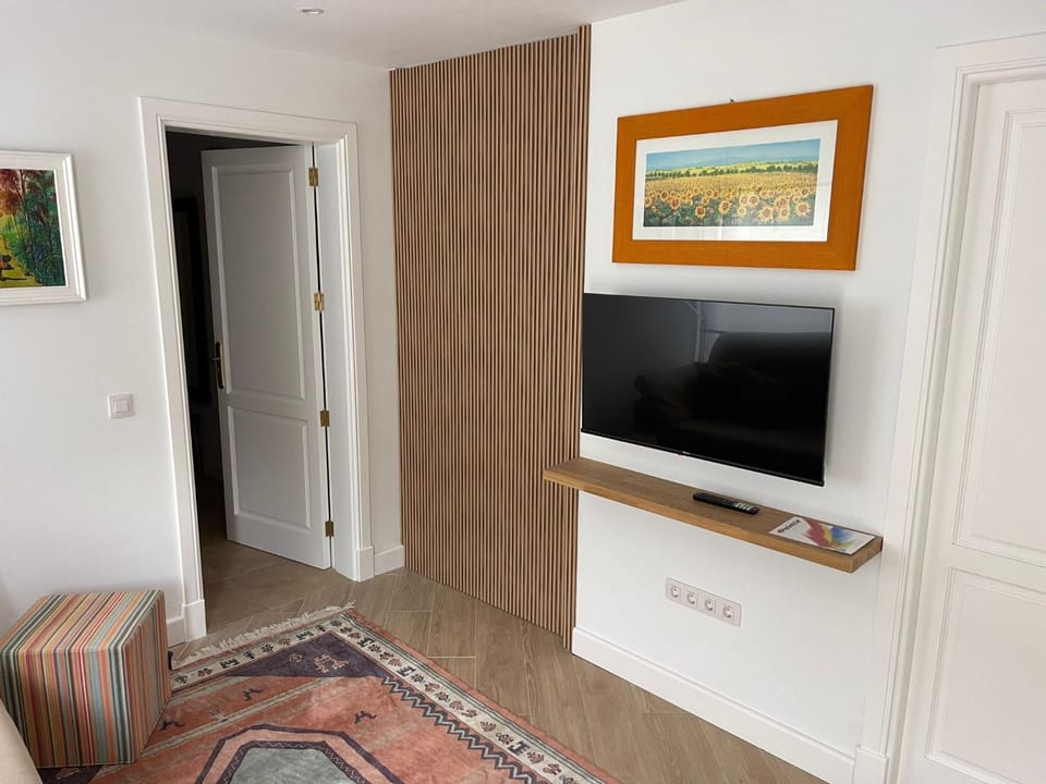 TV and multimedia