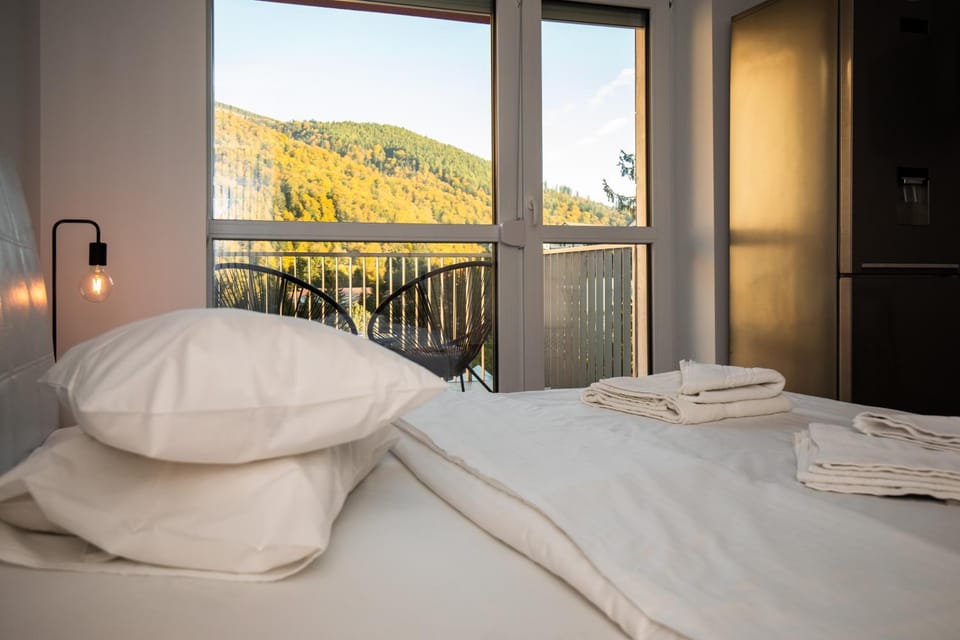 Large Studio - Balcony - Spa and Gym in Building - Free Parking Apartment in Sinaia