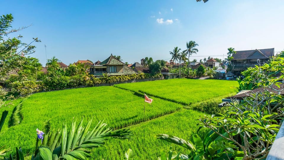 Natural landscape, View (from property/room)