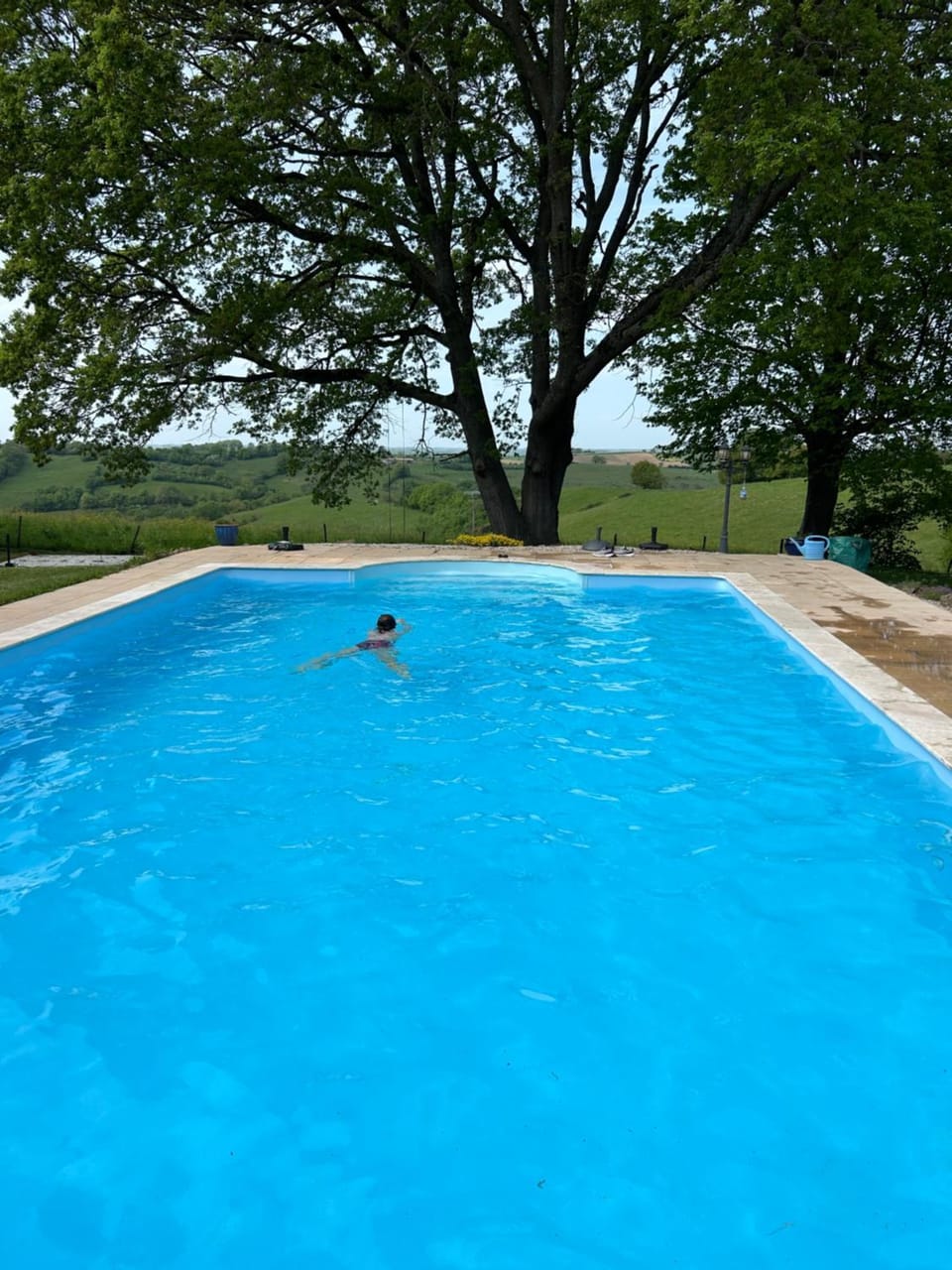 Le Manoir aux Volets Verts with Hot Tub Bed and Breakfast in Occitanie