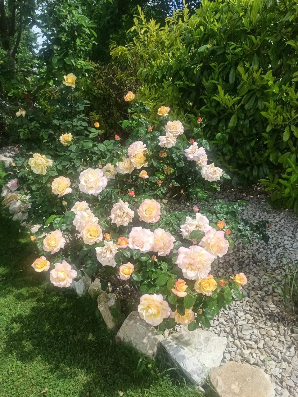 Philippe et Éliane Bed and Breakfast in Nouvelle-Aquitaine
