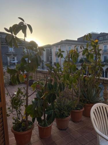 John Mary House Apartment in Catania