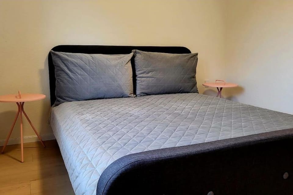 SoloRica House(400m to Lego House,1km to Legoland) Villa in Billund