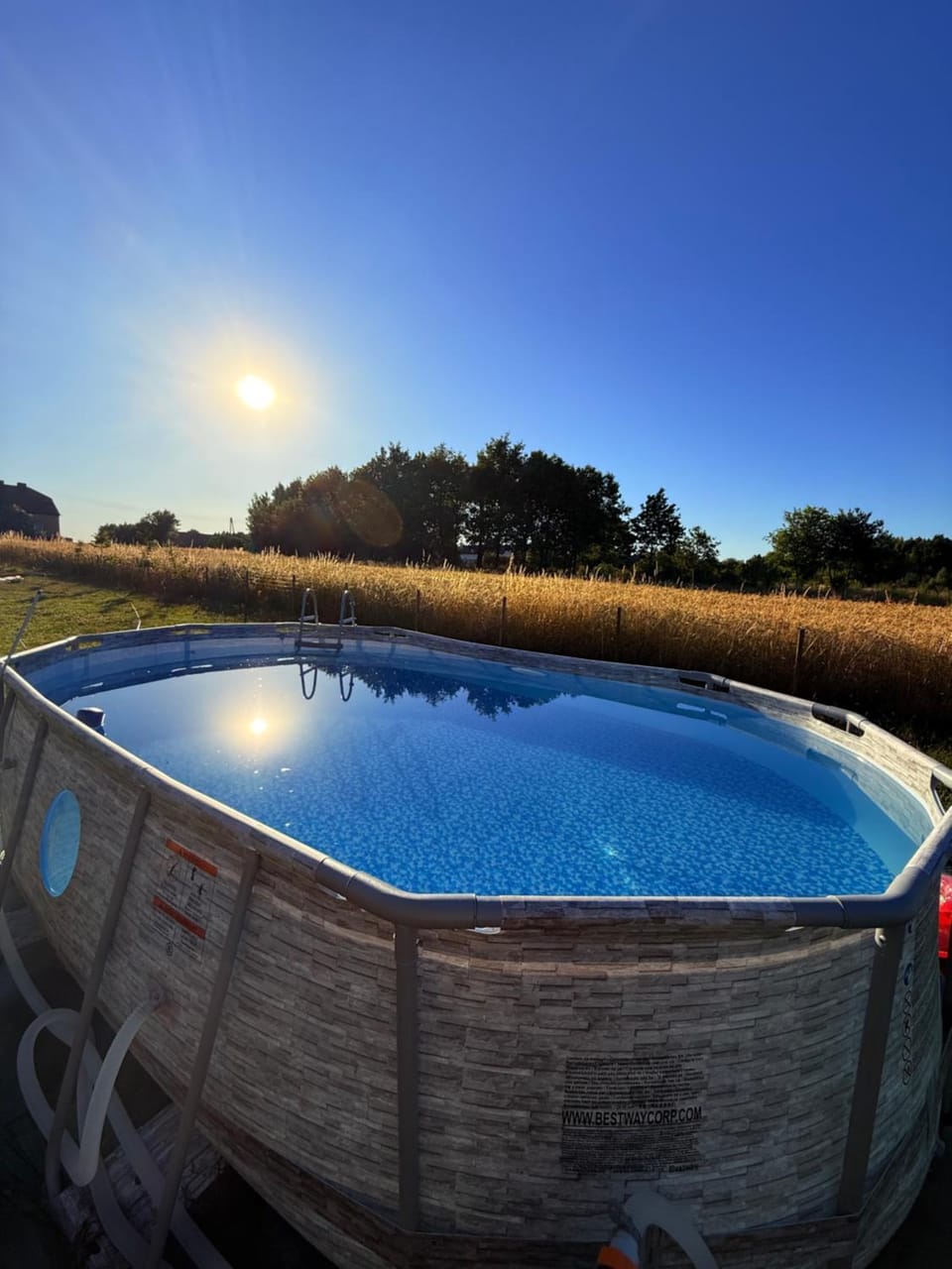 Day, Pool view, Swimming pool