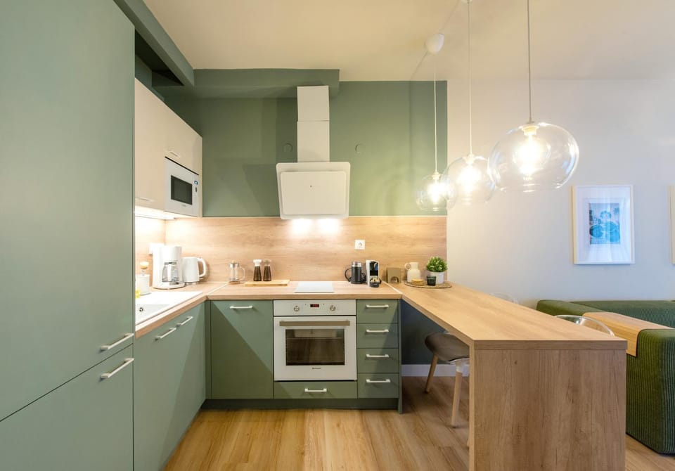 Kitchen or kitchenette, dishwasher, minibar, pet friendly, stove