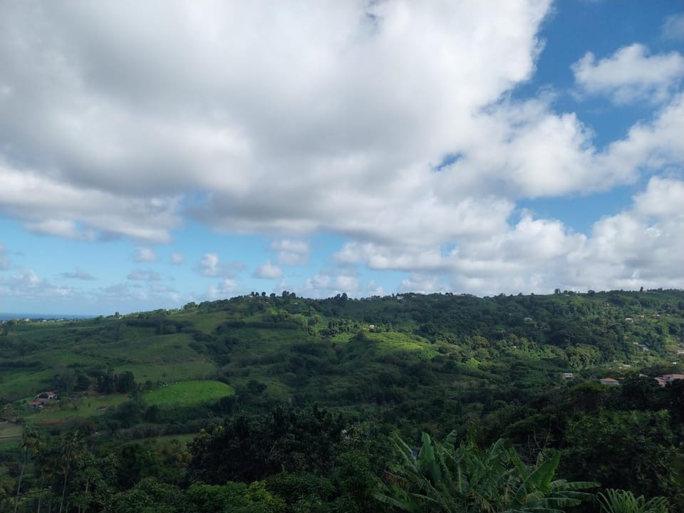 Nearby landmark, Natural landscape
