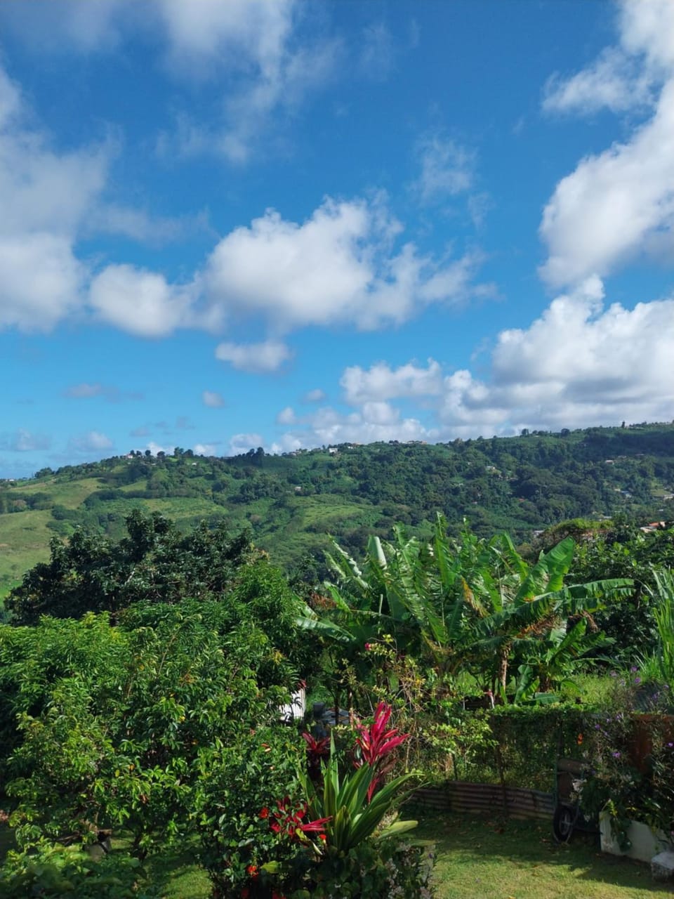 Natural landscape, Mountain view