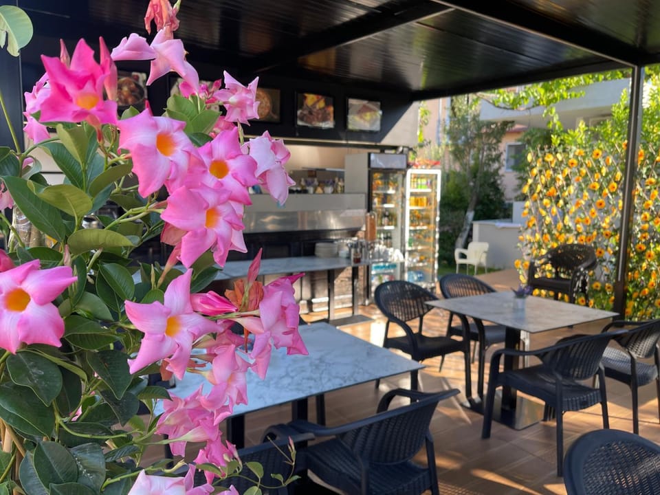 Zace Studios Apartment in Ksamil