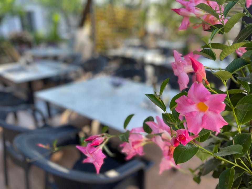 Zace Studios Apartment in Ksamil