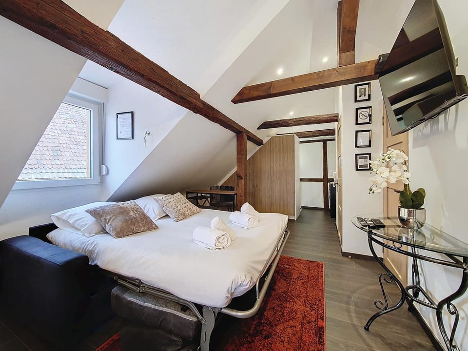 Le NID DE CIGOGNE - Calme - Neuf - CLIMATISATION - Haut de gamme - Dernier étage Apartment in Grand Est