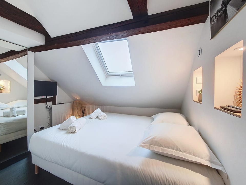 Le NID DE CIGOGNE - Calme - Neuf - CLIMATISATION - Haut de gamme - Dernier étage Apartment in Grand Est