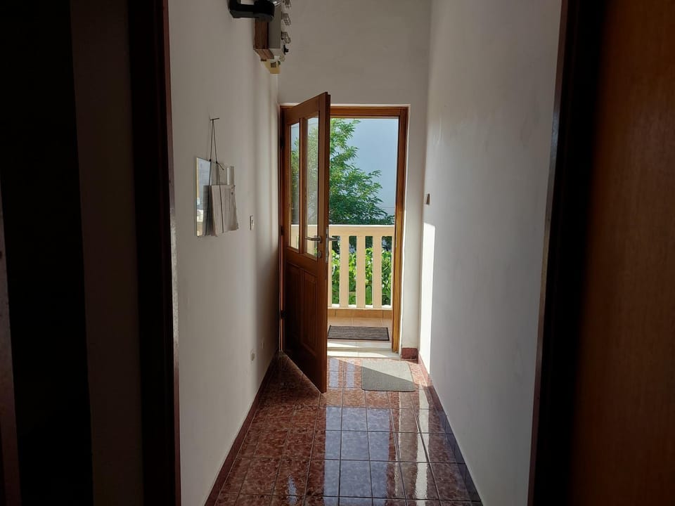 Iva apartment 50m from see (7person) Apartment in Zadar County