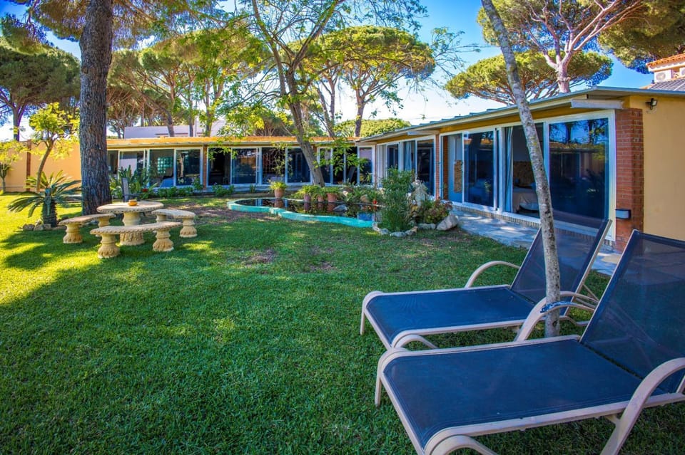 Patio, Day, Garden, Garden view, sunbed