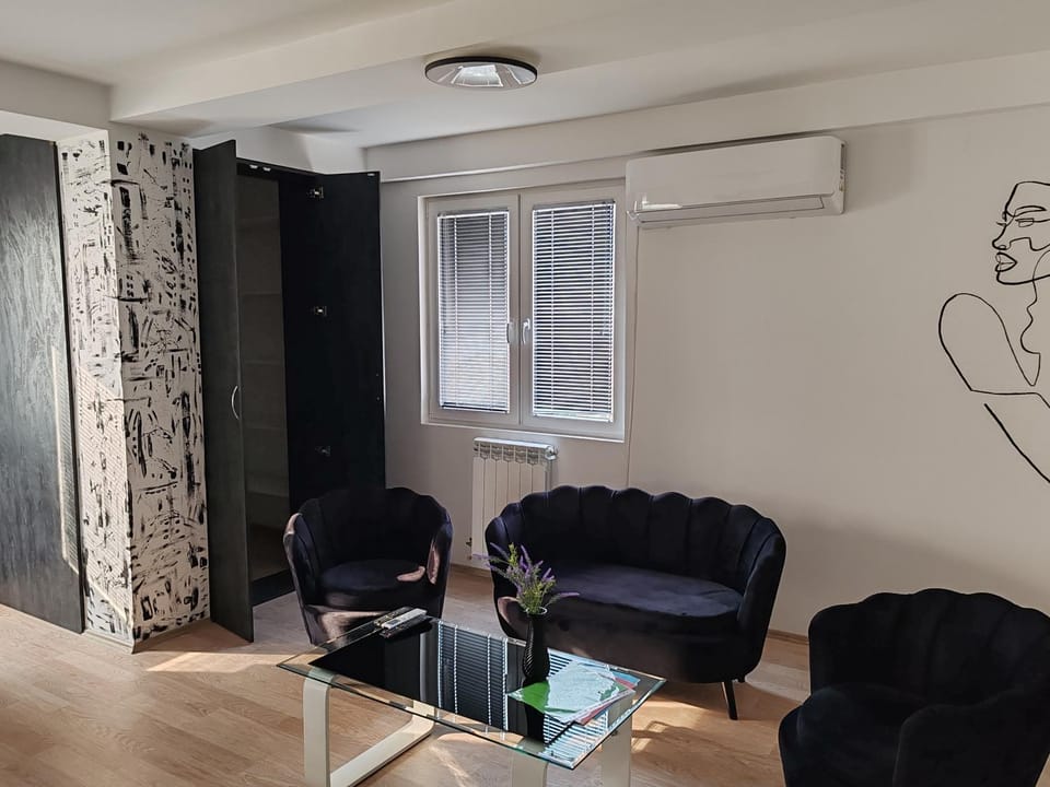 Living room, Decorative detail, Seating area, air conditioner