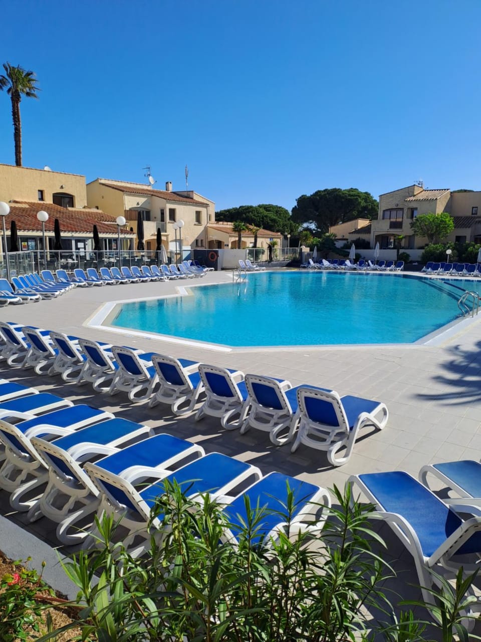 Swimming pool, sunbed