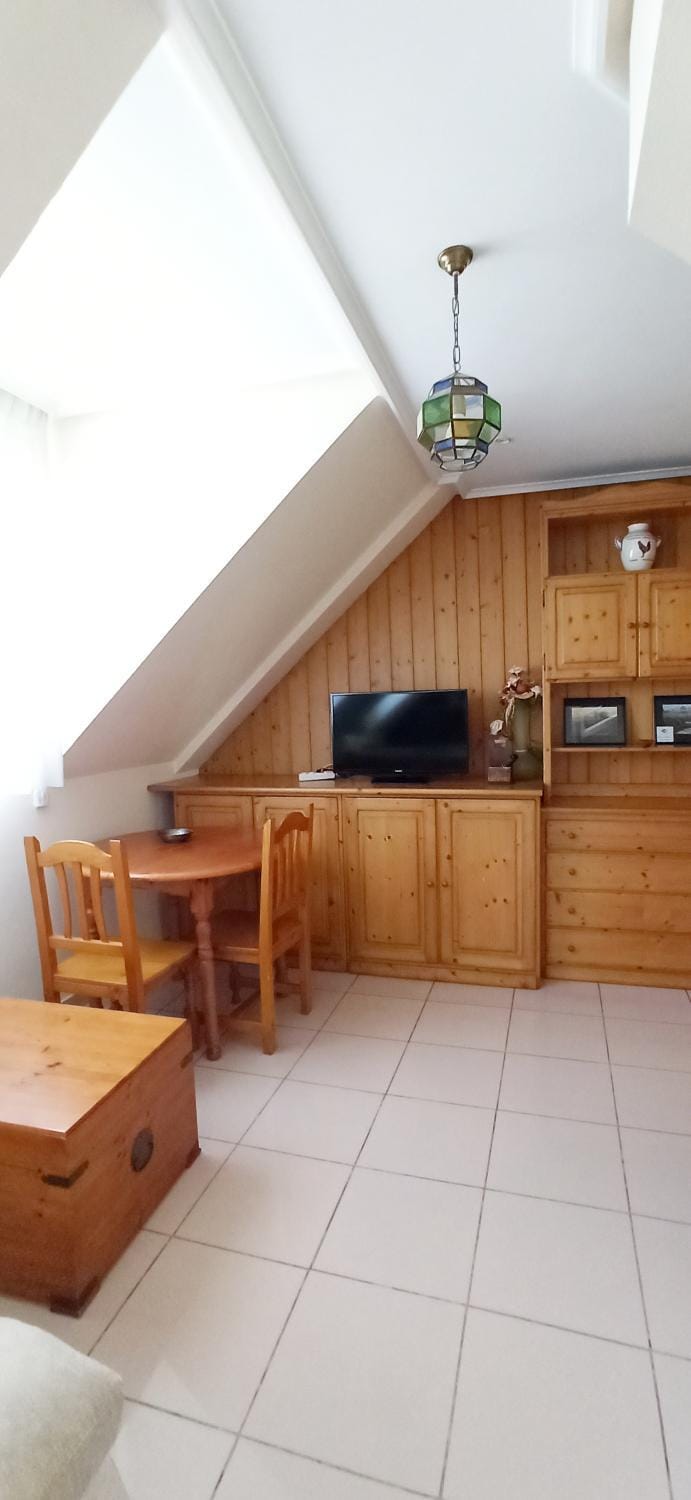 Apartamentos Edificio Aguilas Apartment in Aínsa