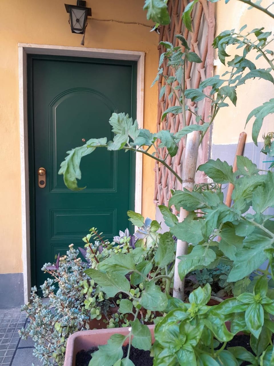 L'Iris Bed and Breakfast in Livorno