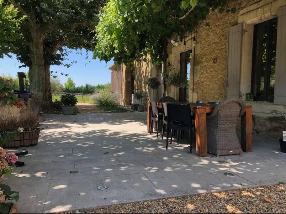 Patio, Garden