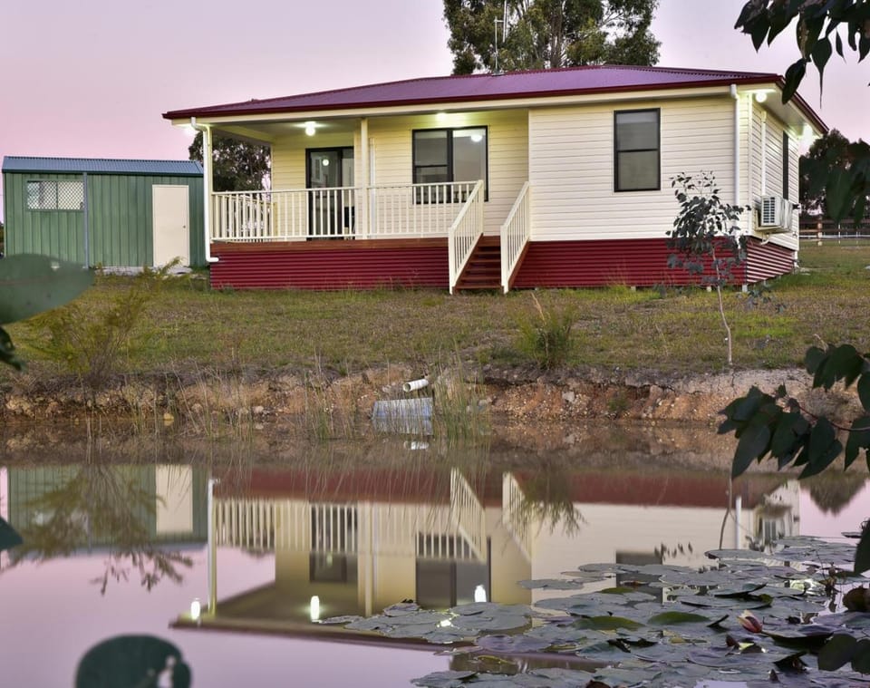 Lake view
