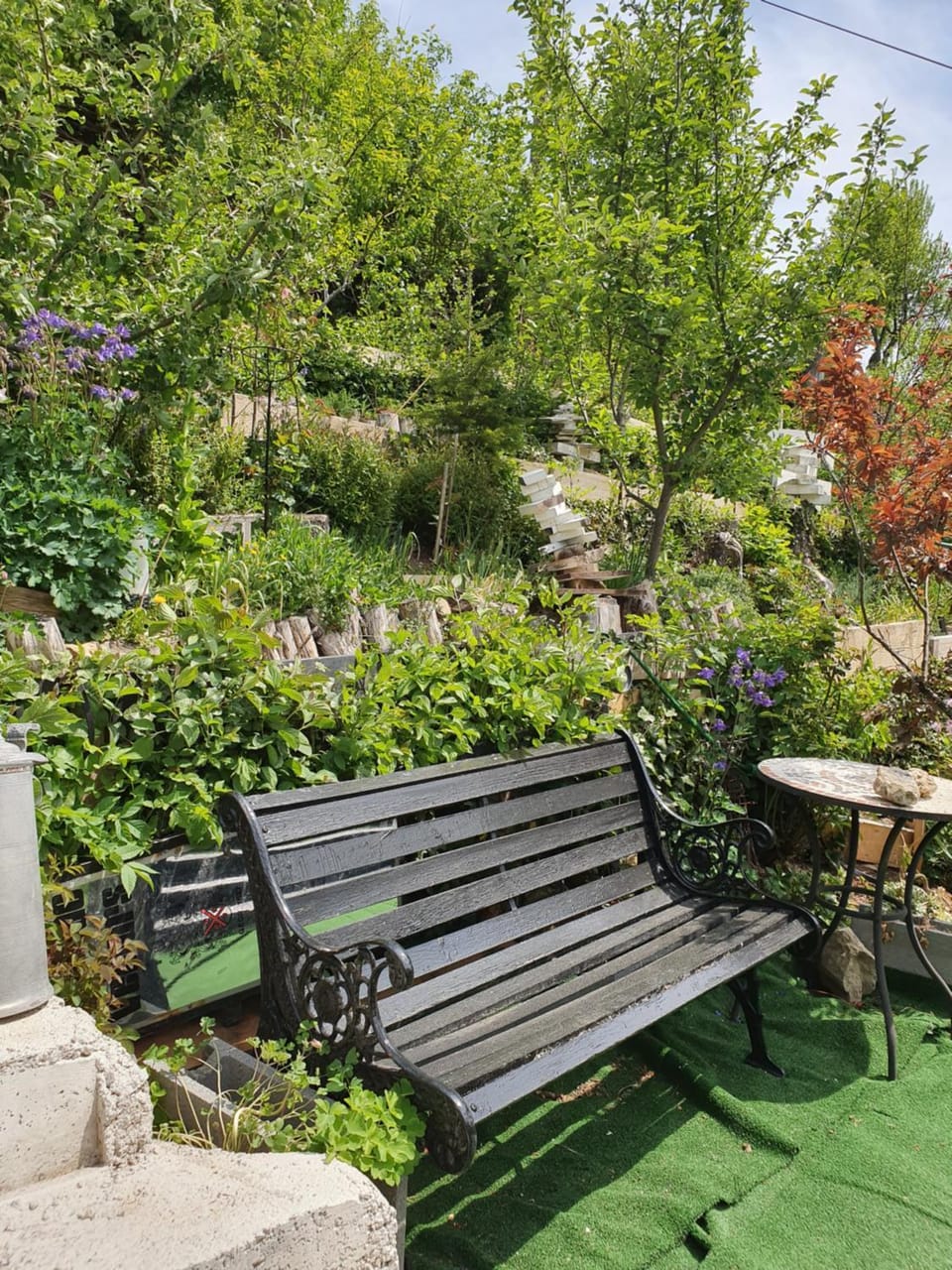 Garden view