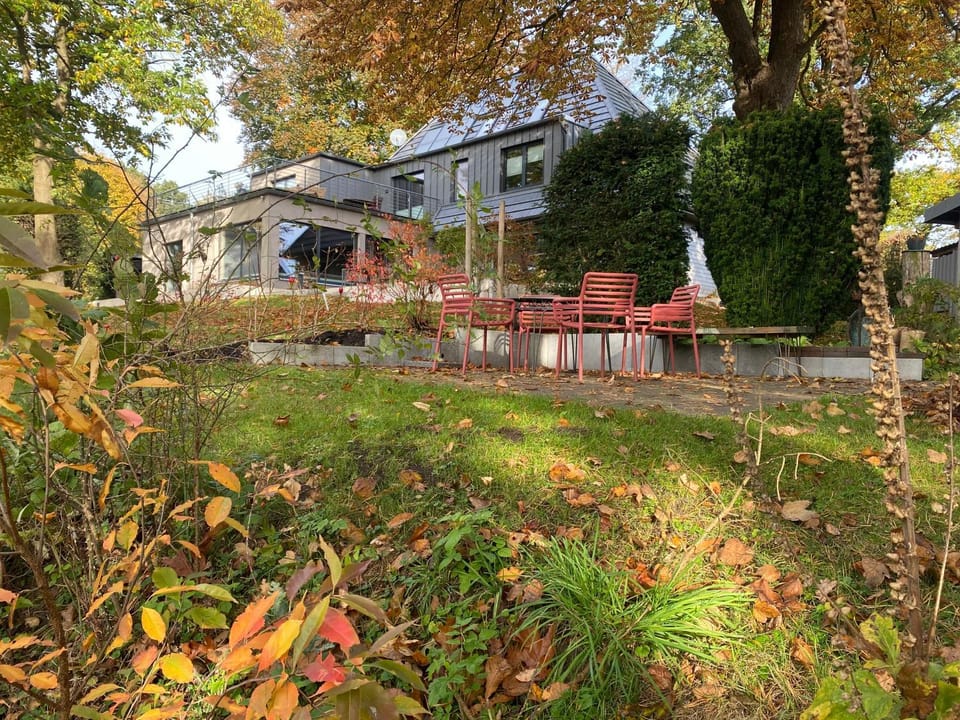 Natural landscape, Garden, Garden view