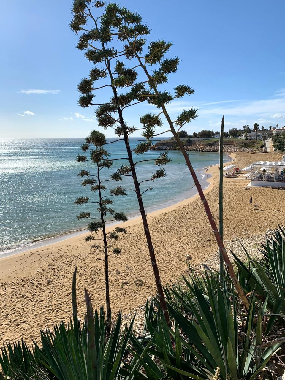 Nearby landmark, Natural landscape, Beach, Sea view