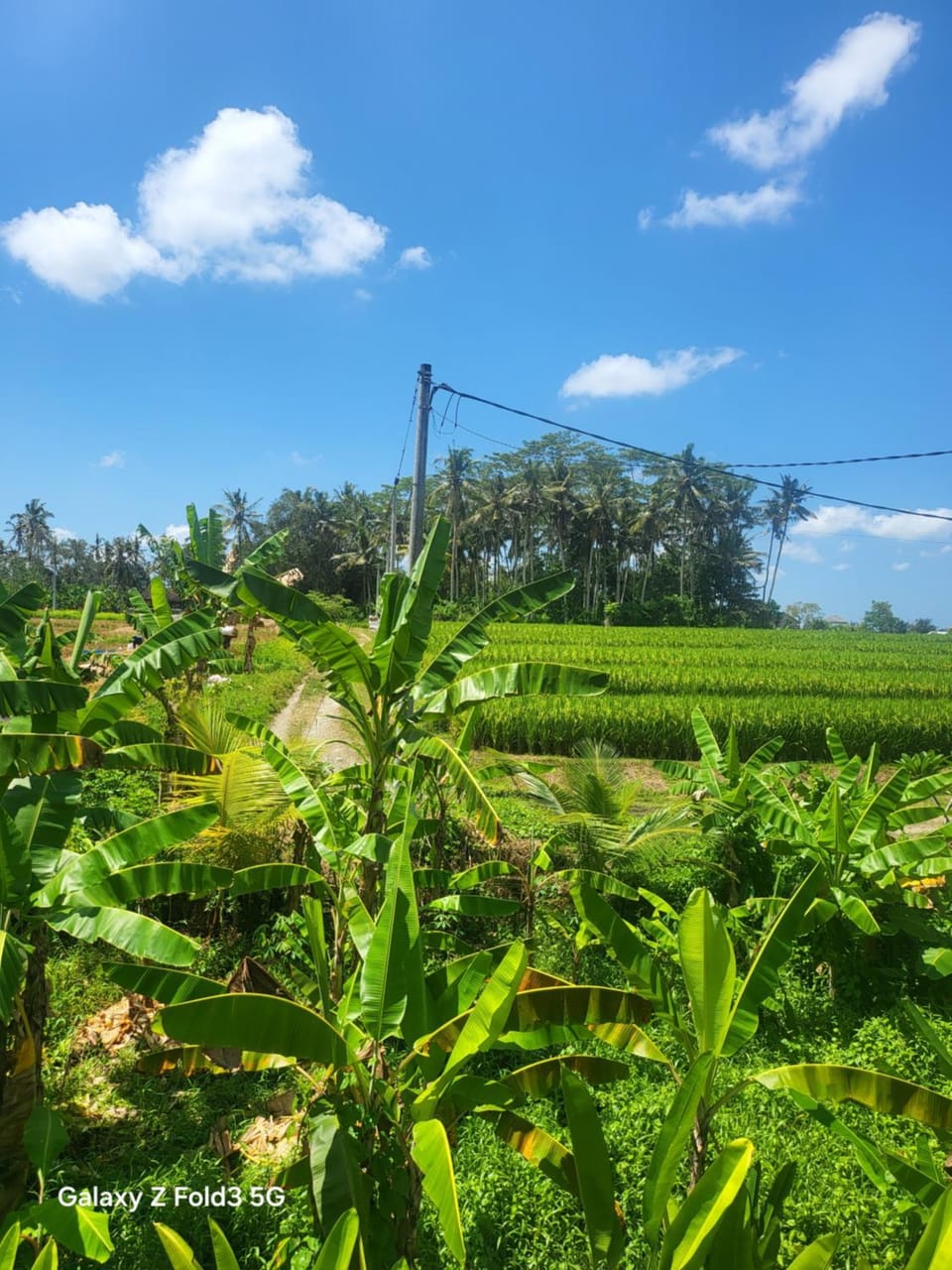 Villa Fireflies Villa in Abiansemal