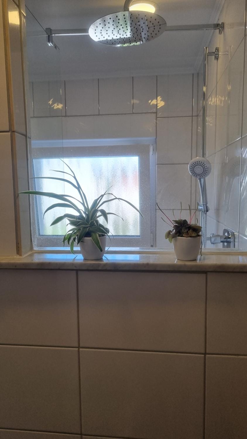 Unter der Linde Apartment in Saarland, 66, Germany