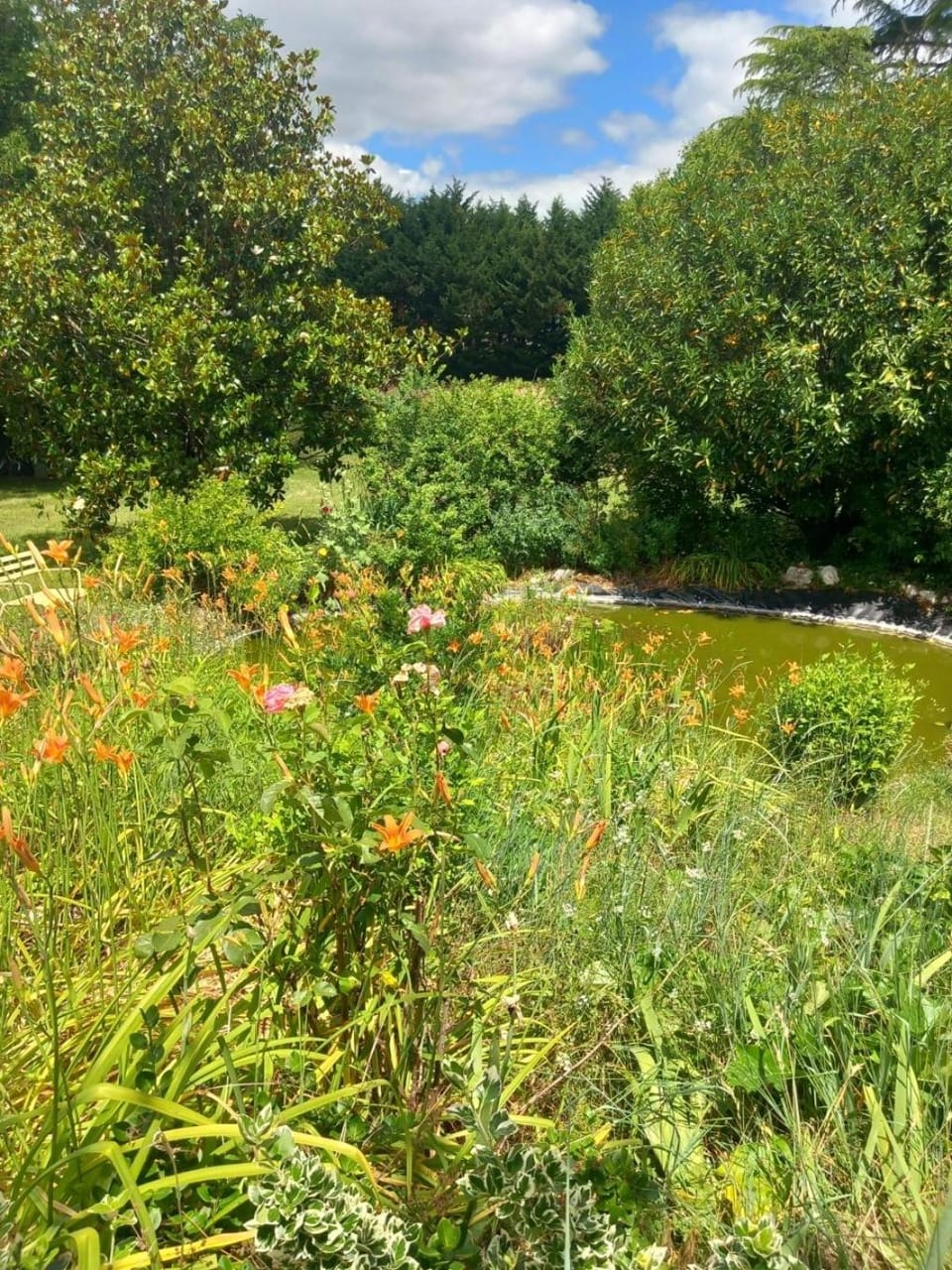 Natural landscape